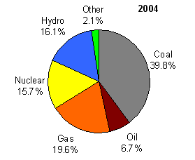 World Electricity Generation by Fuel 2004