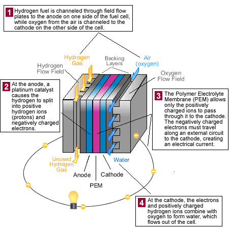 Diagram of Fuel Cell