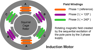 Diagram of an Induction Motor